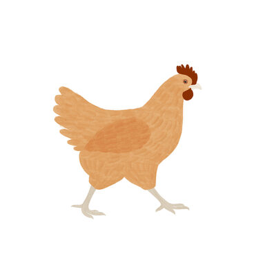 Image Not Available